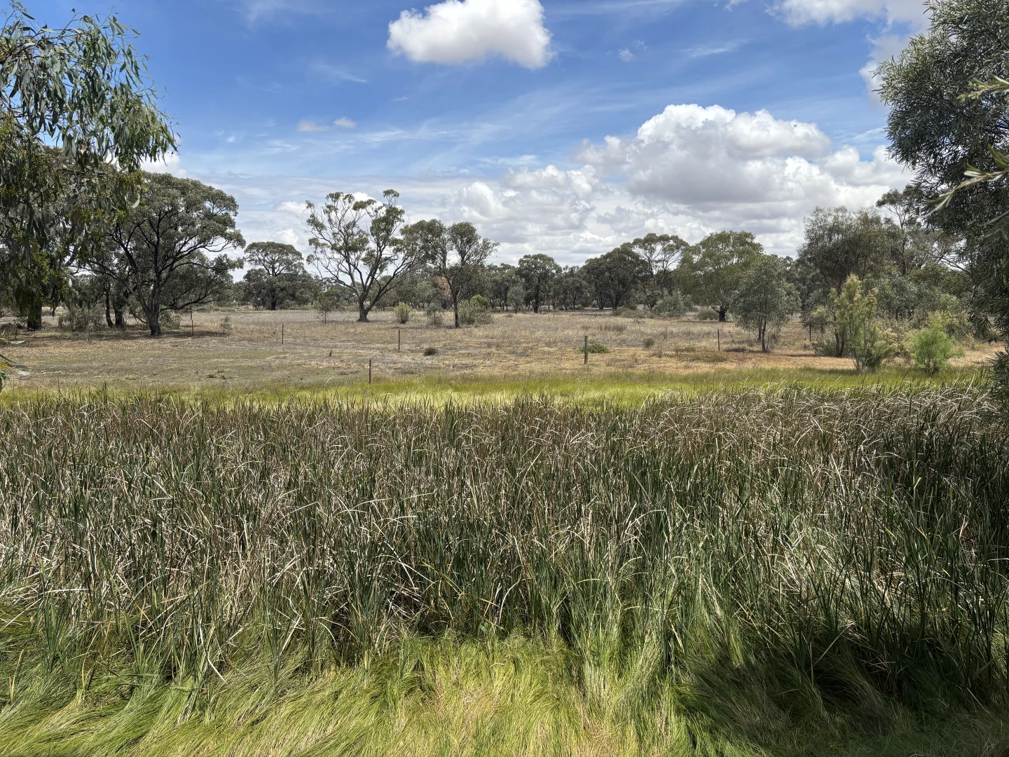 Image 13