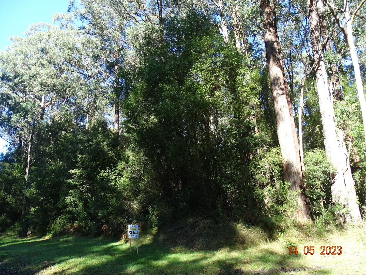 450 Morris Track, Lavers Hill VIC 3238, Image 2