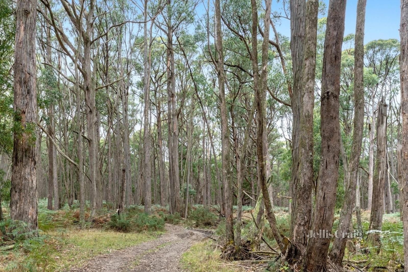 155 Stringy Bark Track, Mollongghip VIC 3352, Image 2