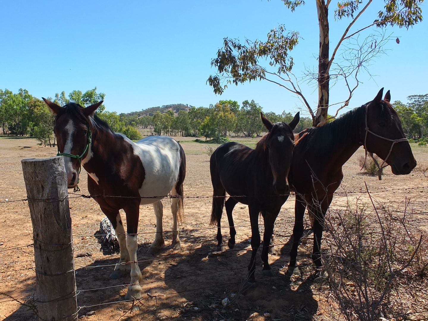 CA 23E,22E ,3F Stony Crossing Road, Redbank VIC 3477, Image 2