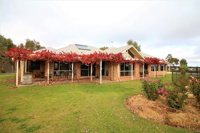 Picture of 509 Boorga Road, GRIFFITH NSW 2680