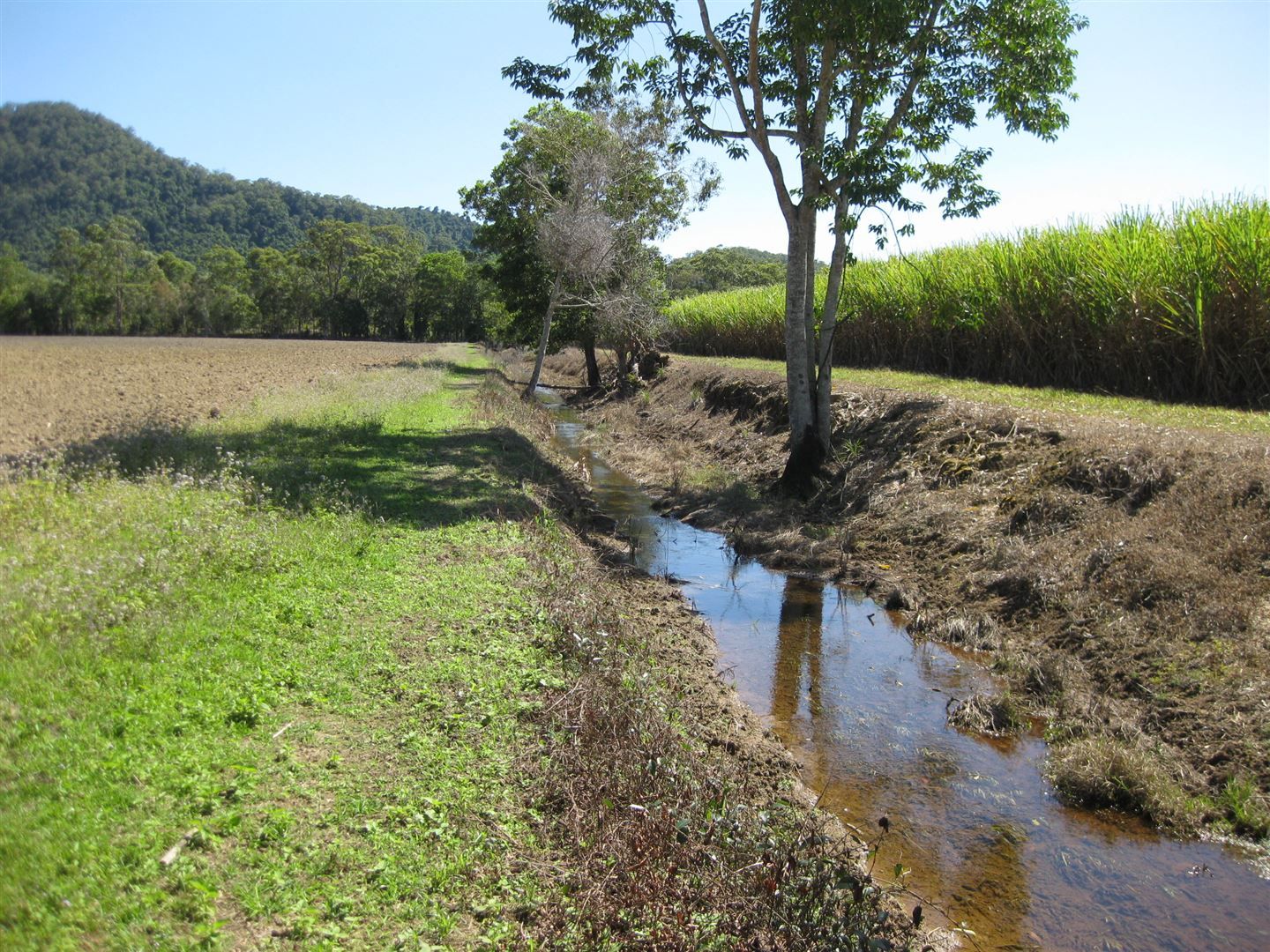 El Arish QLD 4855, Image 2