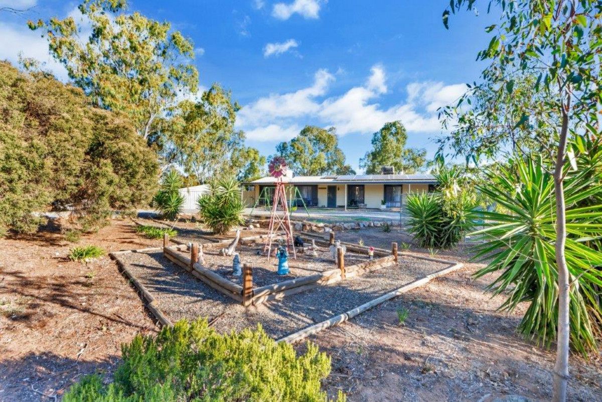 7 Hendo Place, Two Wells SA 5501, Image 0