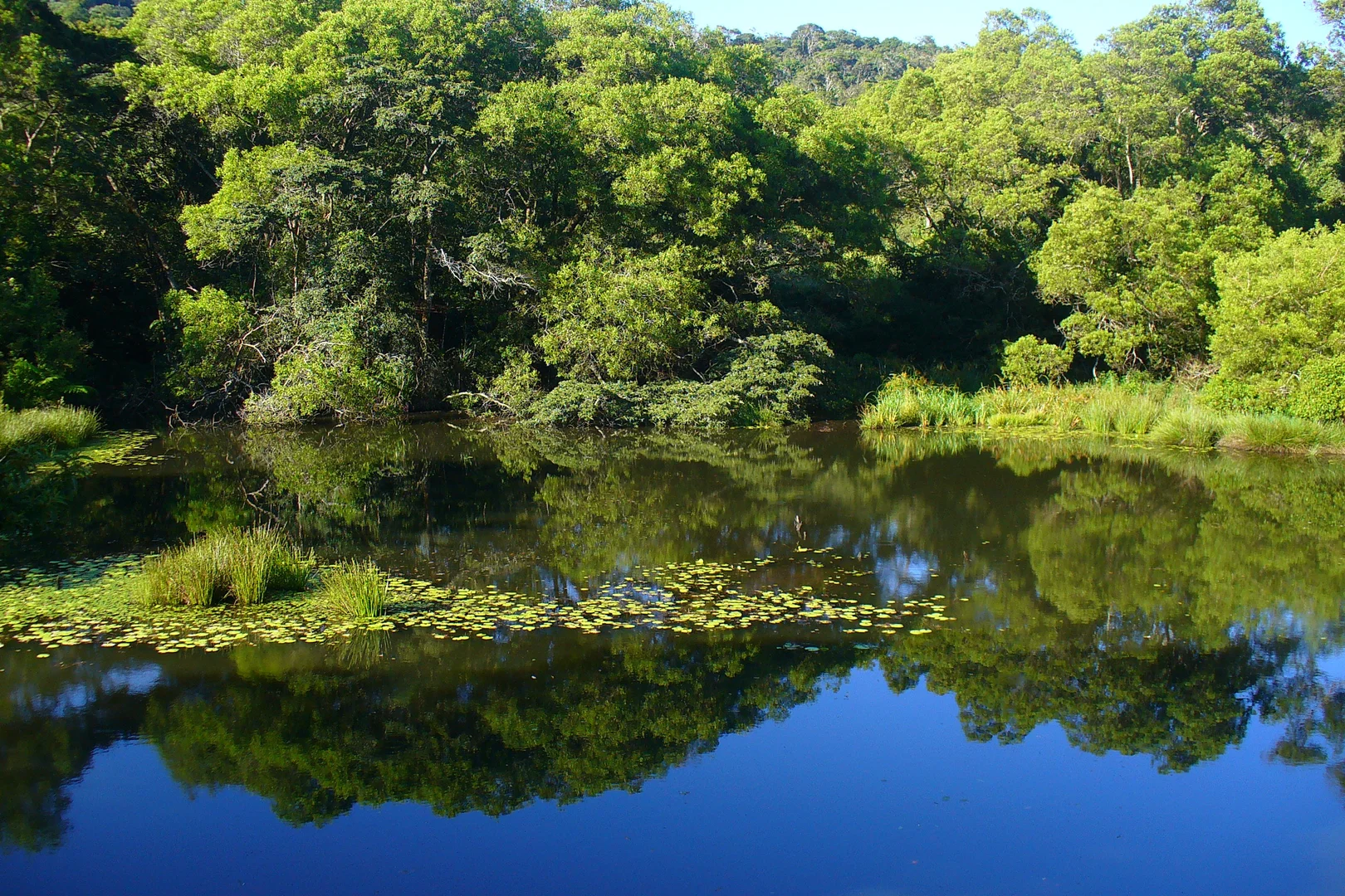 Additional image 23 of Atherton QLD 4883