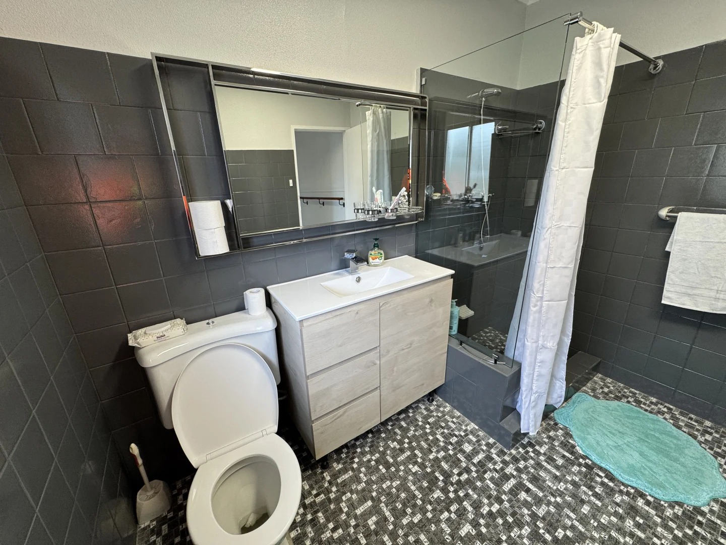 Additional image 8 of 35 North Parade, Campsie NSW 2194