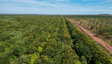 Picture of Douglas-Daly NT 0822, DOUGLAS-DALY NT 0822