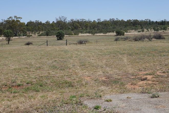 Picture of 3 Qualitary Road, MERUNGLE HILL NSW 2705