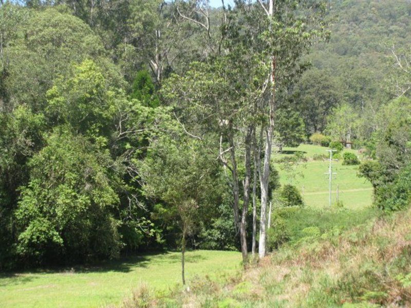 4/315 Boggy Creek Road, Bellingen NSW 2454, Image 1