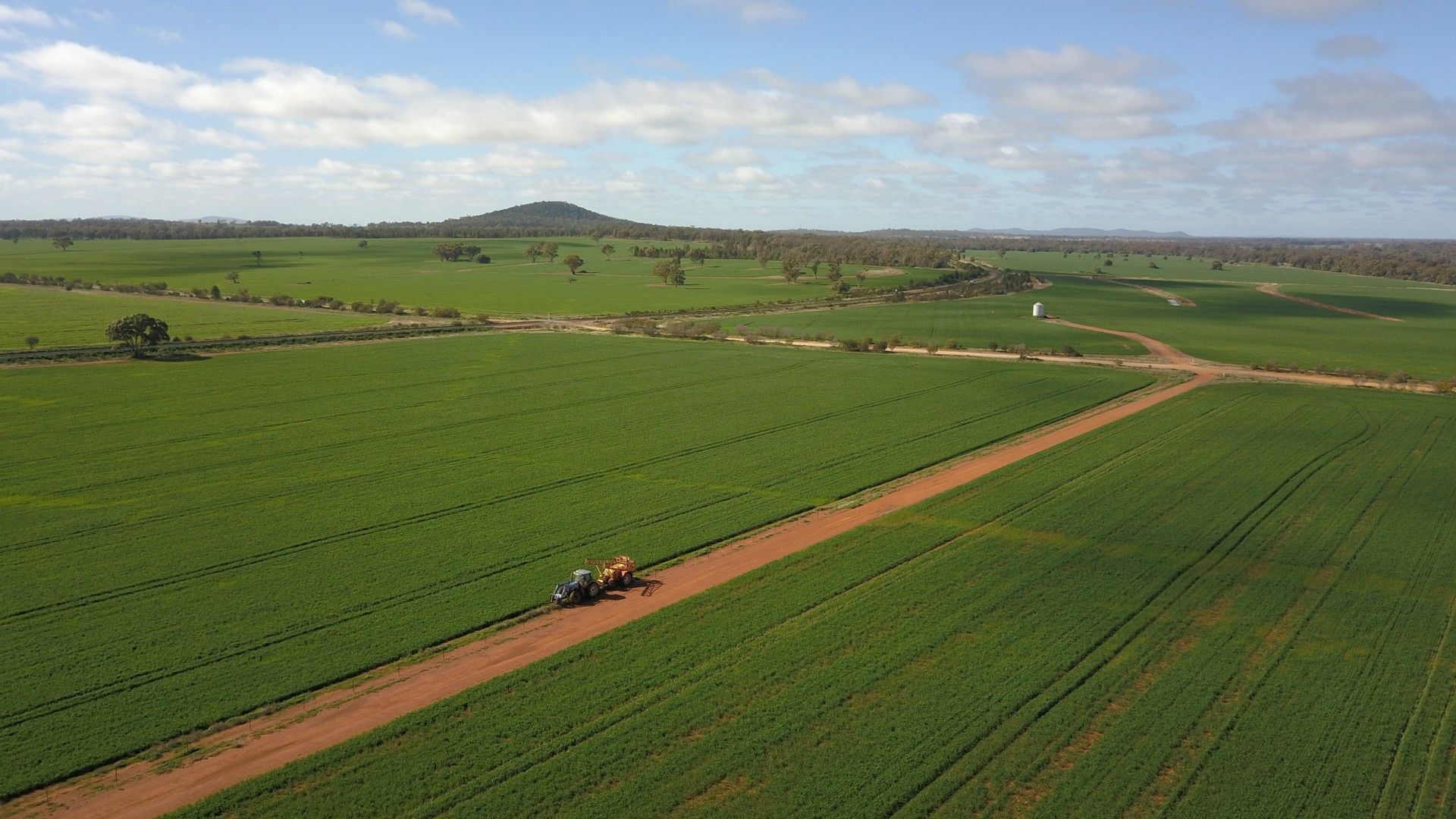 29 & 137 Timmins Lane, Condobolin NSW 2877 Specialist Farm for Sale