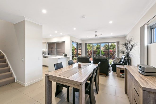 Picture of 11/3 Feather Court, BIRTINYA QLD 4575