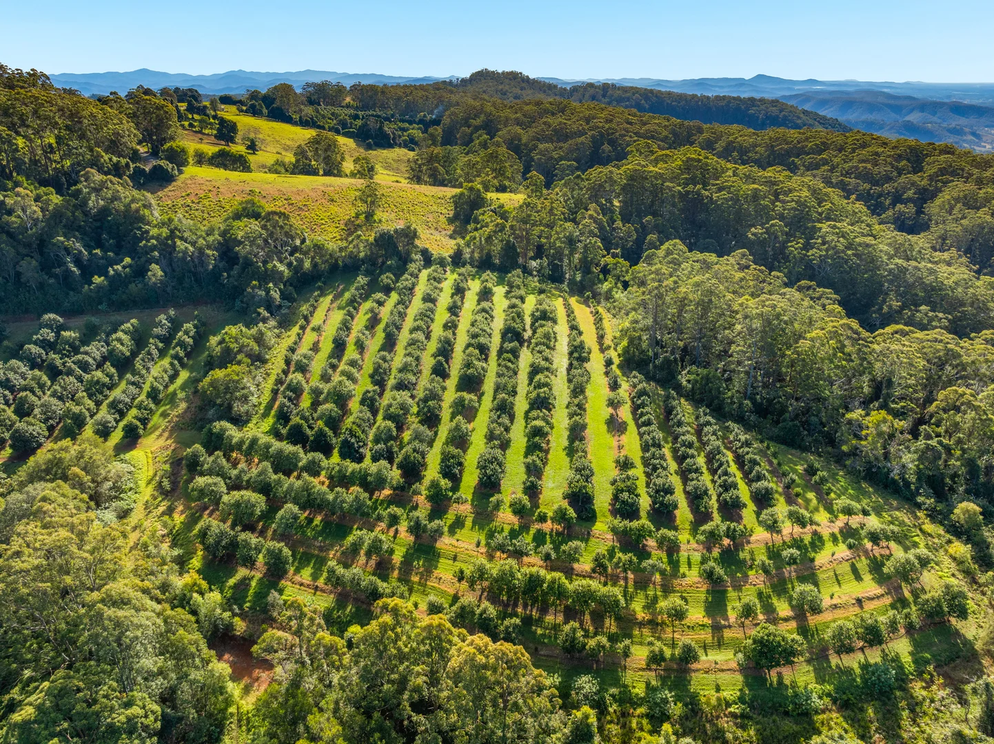 Additional image 25 of 480 Ponsfords Road, Comboyne NSW 2429