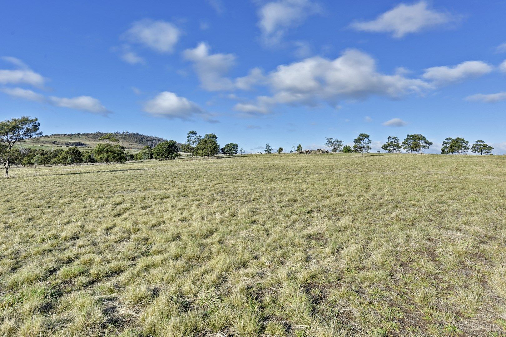 114 Allambie Road, Orielton TAS 7172, Image 0