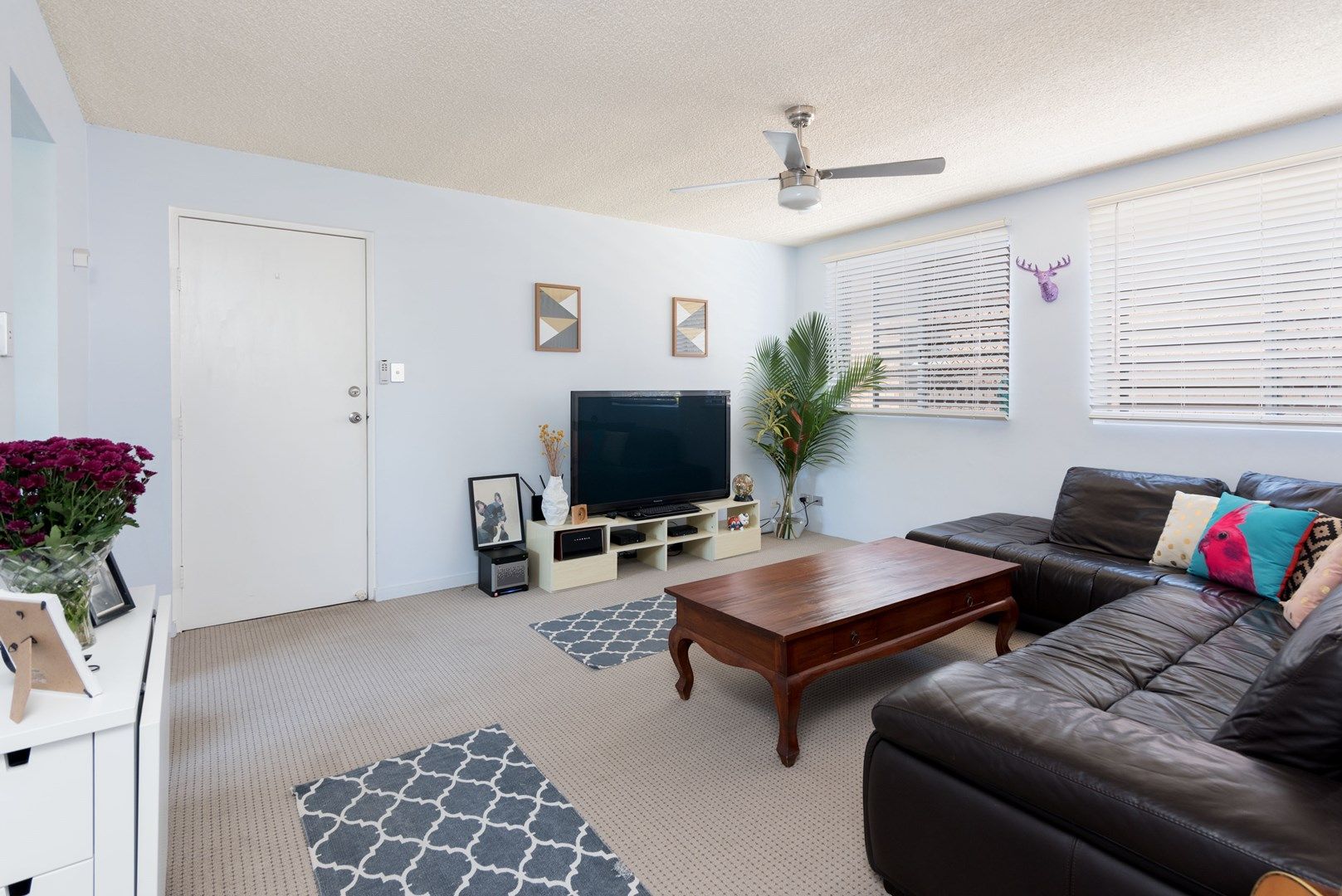 2/19 Woodville Place, Annerley QLD 4103, Image 1