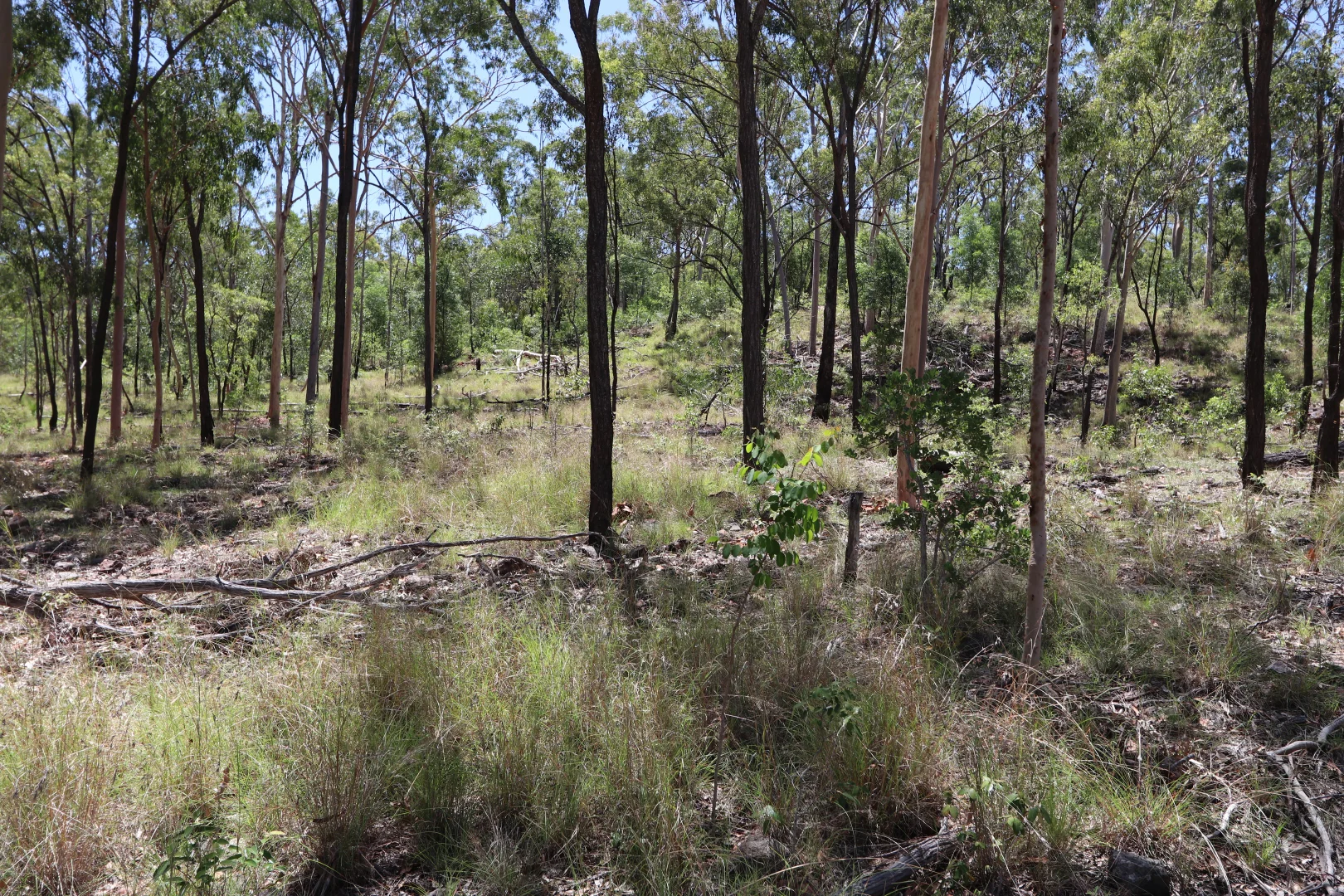 Image 13