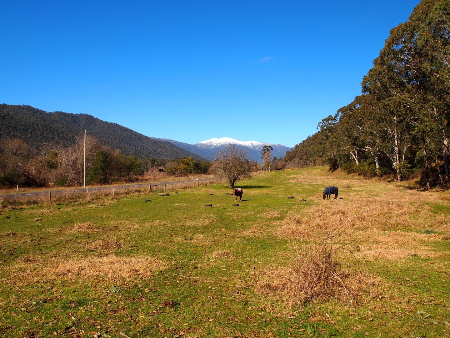 CA 29 Great Alpine Road, Freeburgh VIC 3741, Image 0