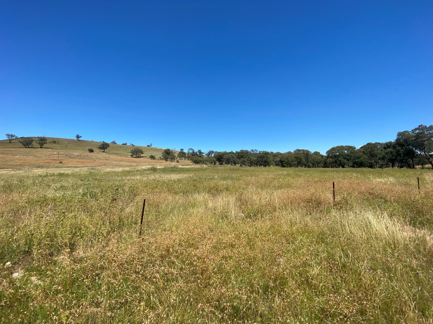 69 Campbells Creek Road, Mudgee NSW 2850, Image 1