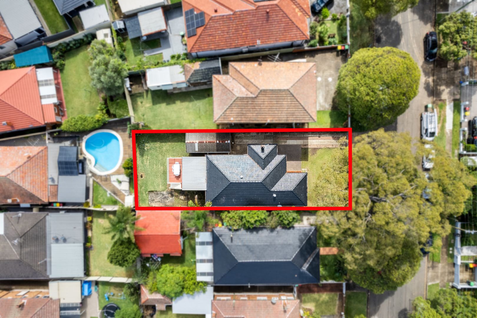 36 Mount Lewis Avenue, Punchbowl NSW 2196, Image 1