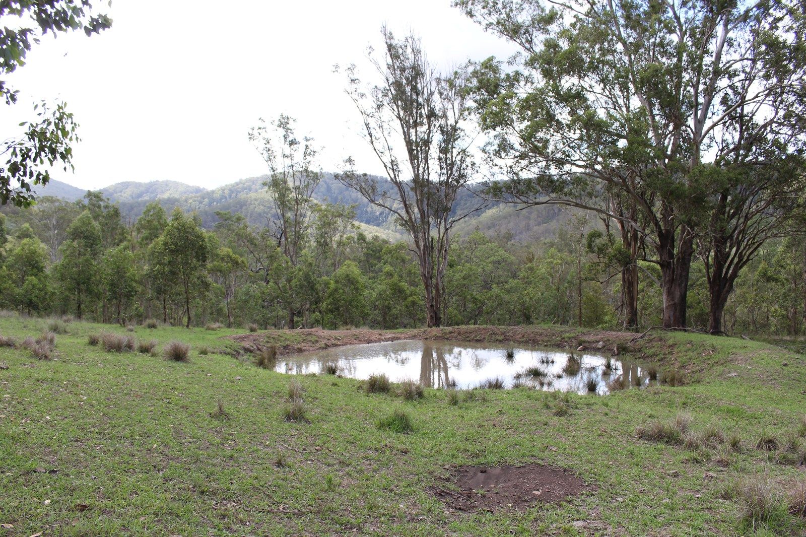 Lot 117 Bowman River Road, Gloucester NSW 2422, Image 1