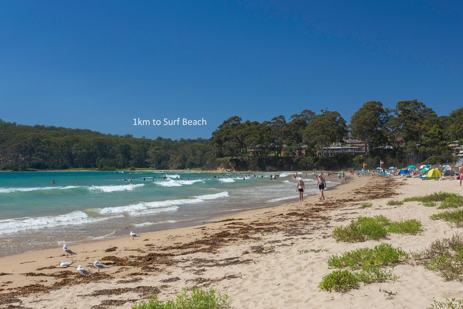 6A Jerupa Close, Surf Beach NSW 2536, Image 1