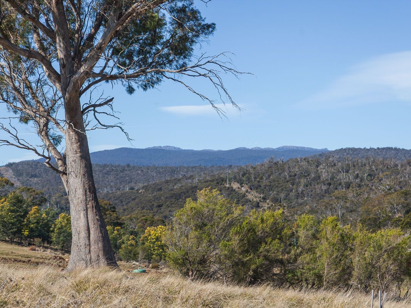 30 White Gum Rise, St Leonards TAS 7250, Image 1