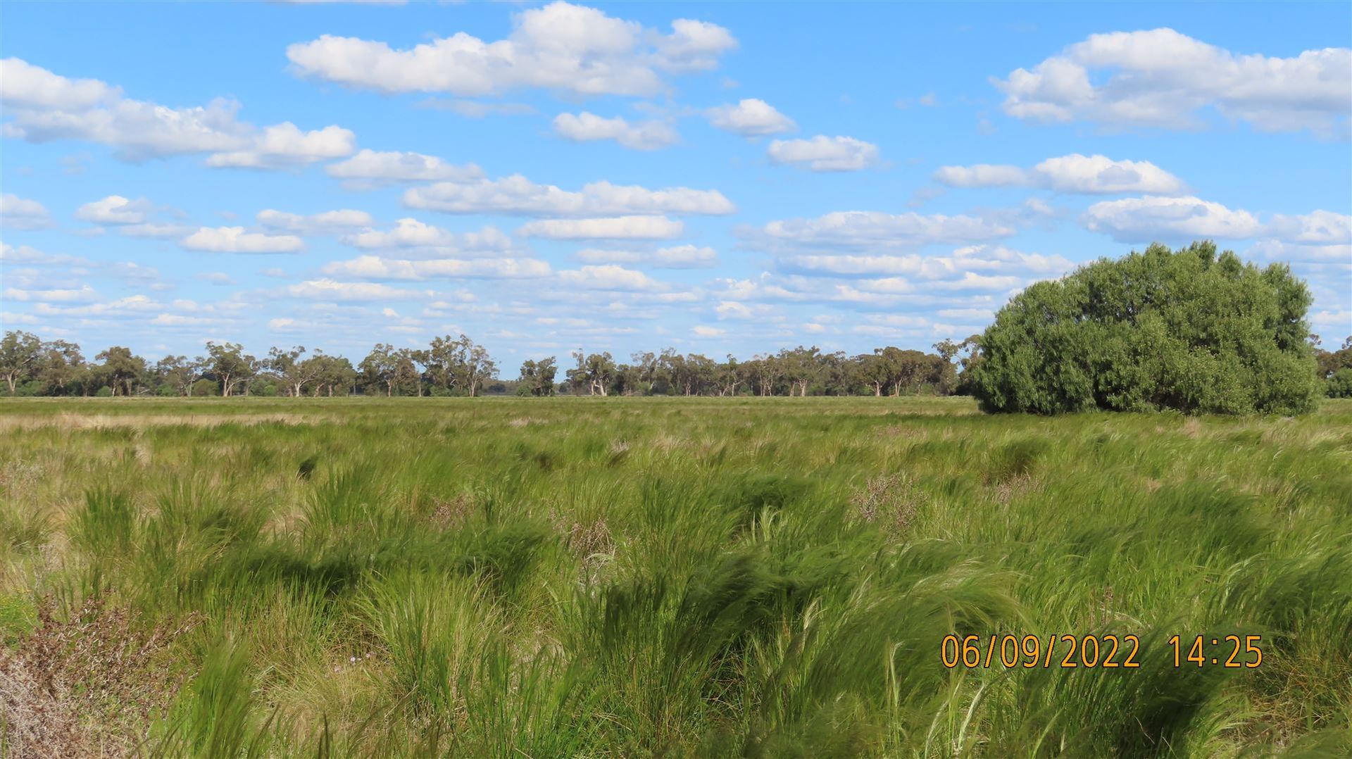 * Budgery Station, Hermidale NSW 2831, Image 1