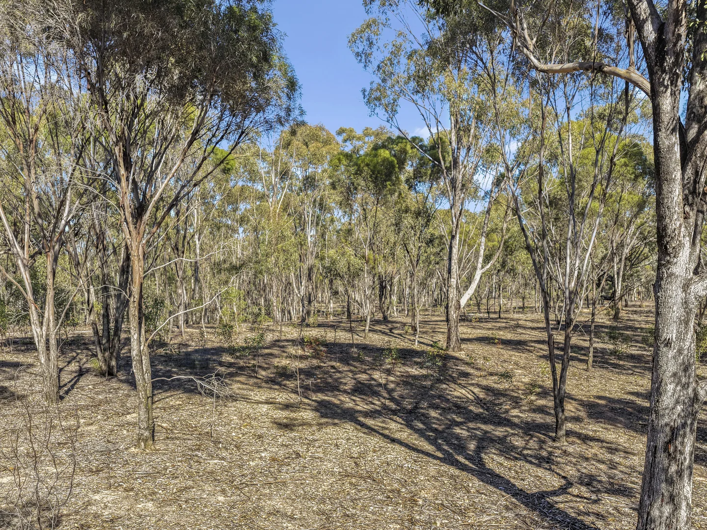 Image 14