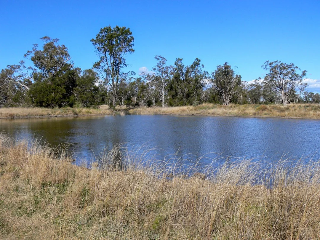 Image 13