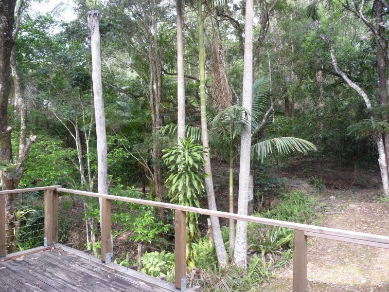 2935 Nerang-Murwillumbah Road, NUMINBAH VALLEY QLD 4211, Image 2