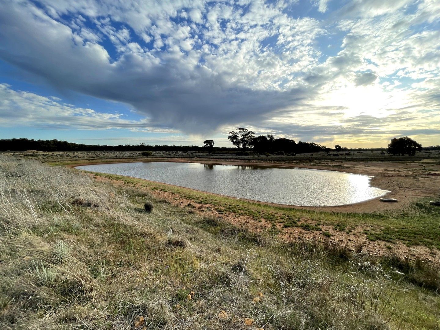 'Glen Iris' 871 Mid Western Highway, West Wyalong NSW 2671, Image 0