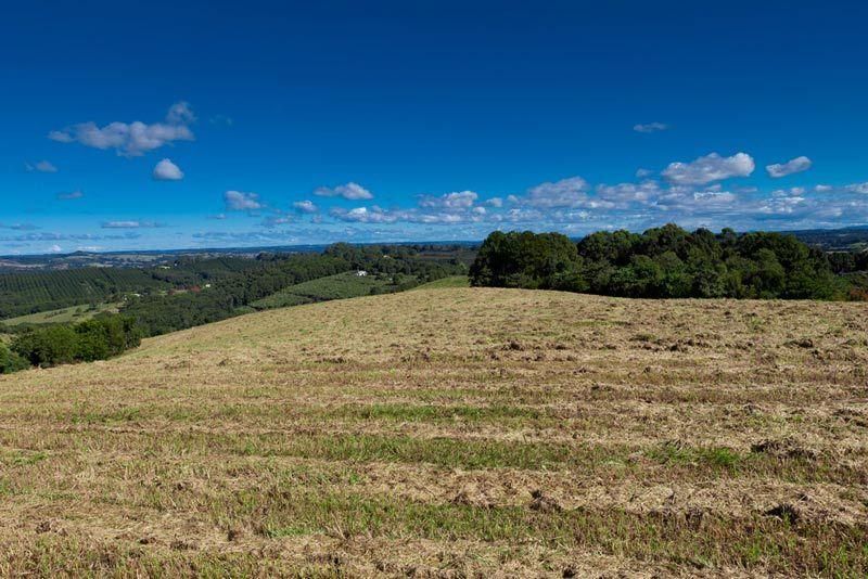 BANGALOW NSW 2479, Image 0