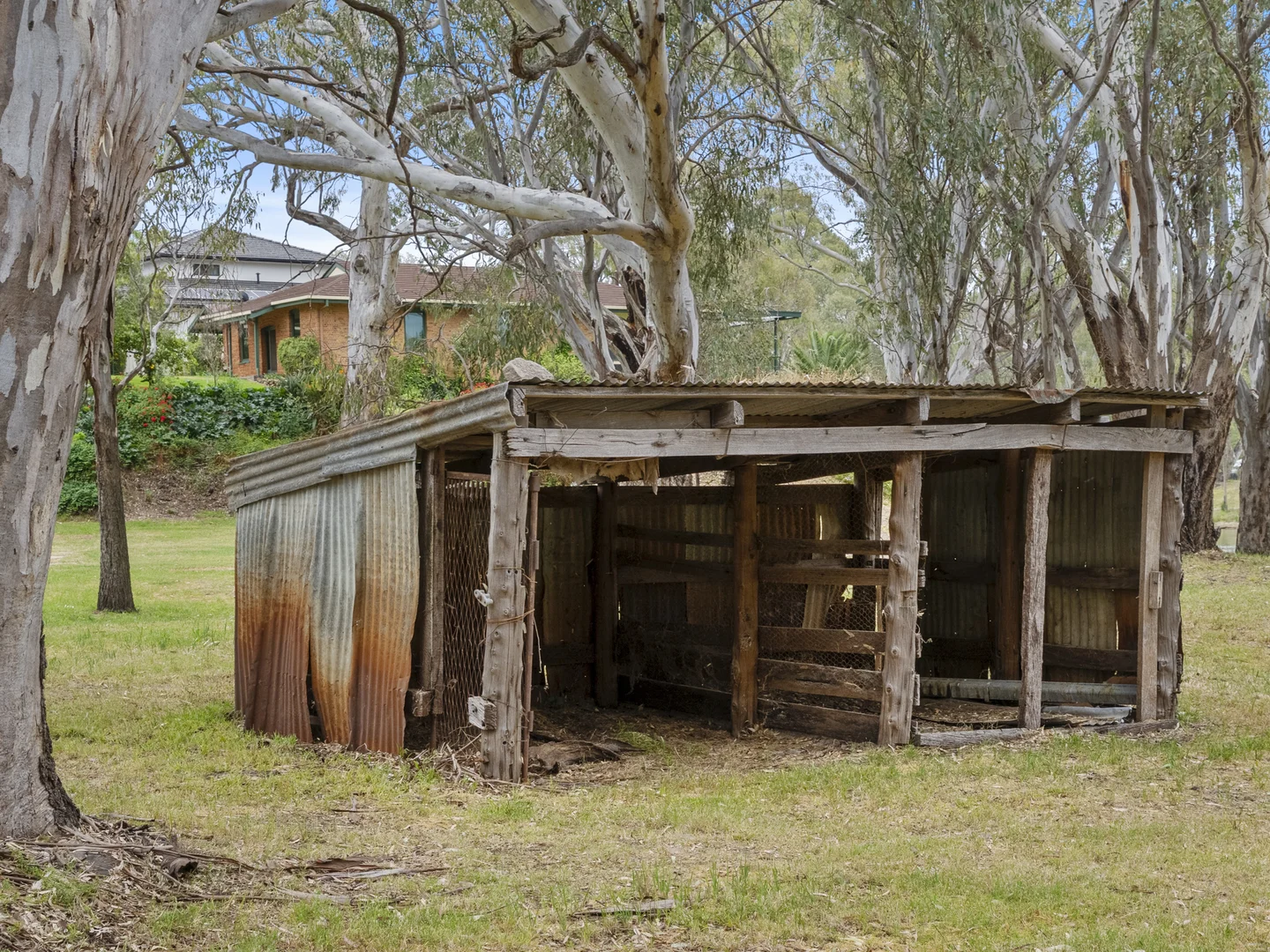 Image 33