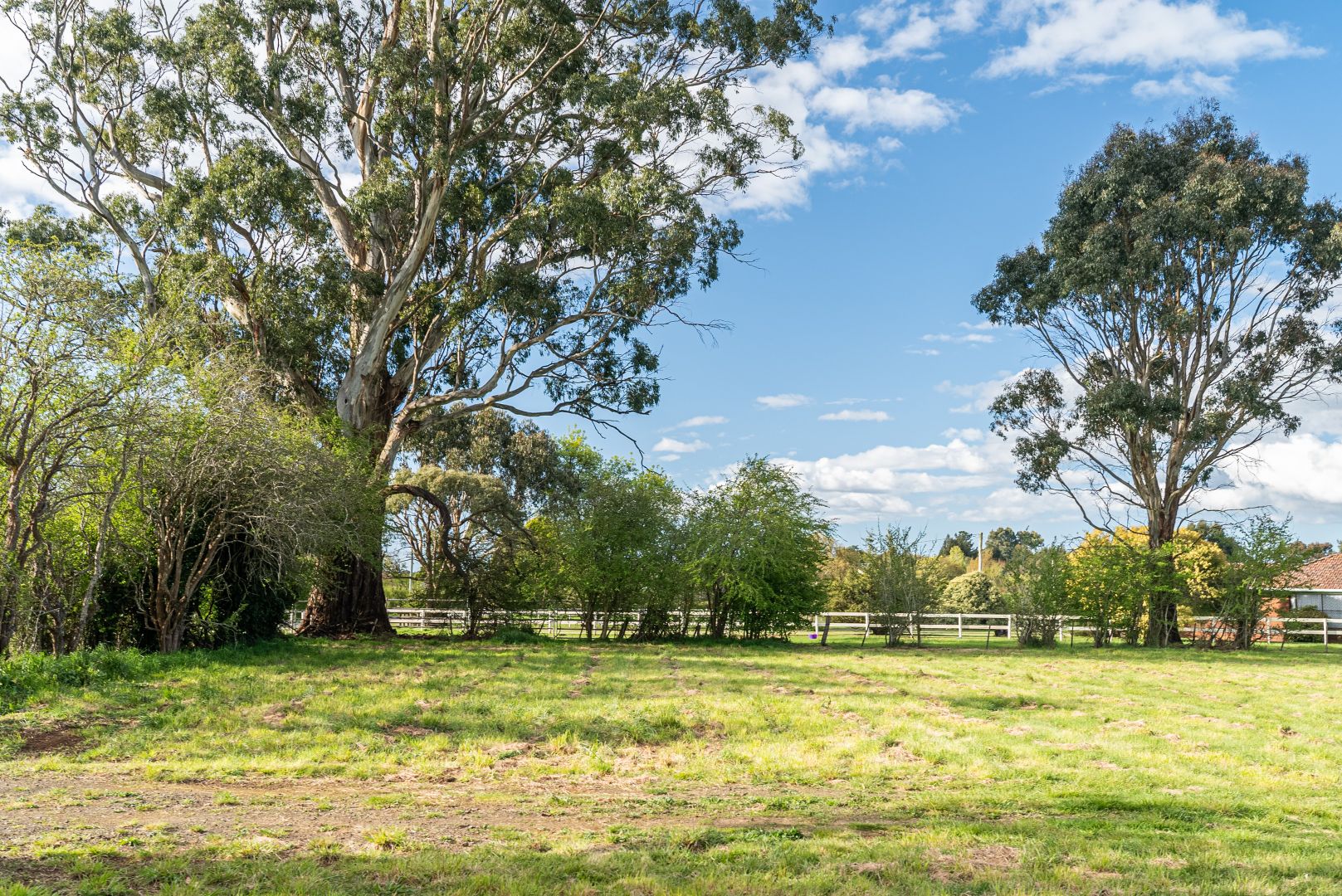 311 Marriott Street, Westbury TAS 7303, Image 1