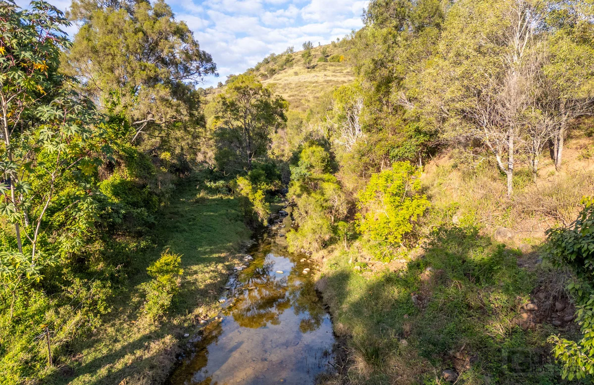 Image 41