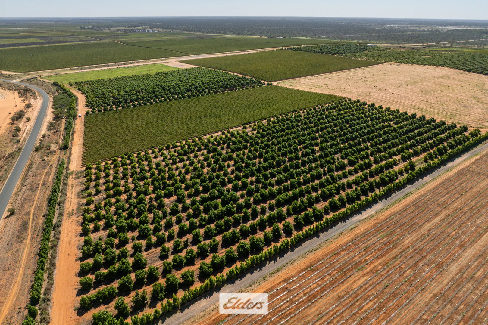 Additional image 48 of 135 Red Hill Road, Pomona NSW 2648