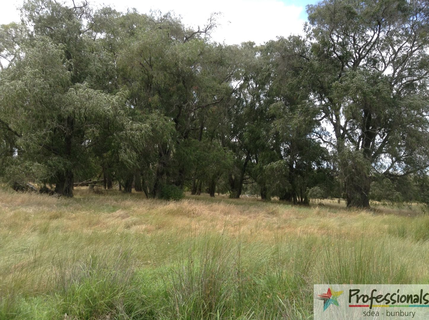 Lot 438 Keenan Road, Dardanup West WA 6236, Image 2