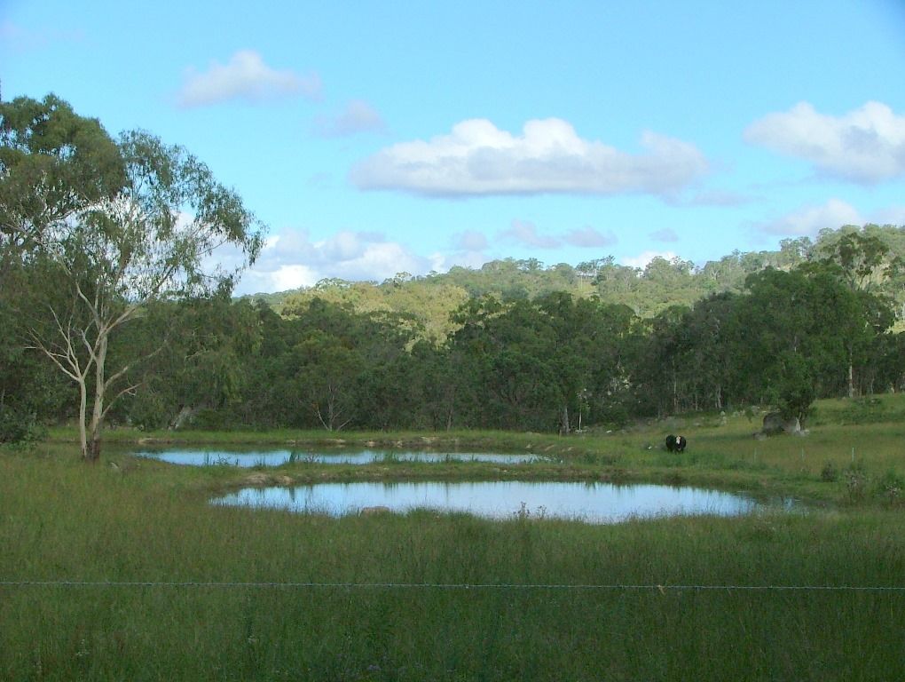 367 Wylie Creek Road, Liston NSW 2372, Image 1