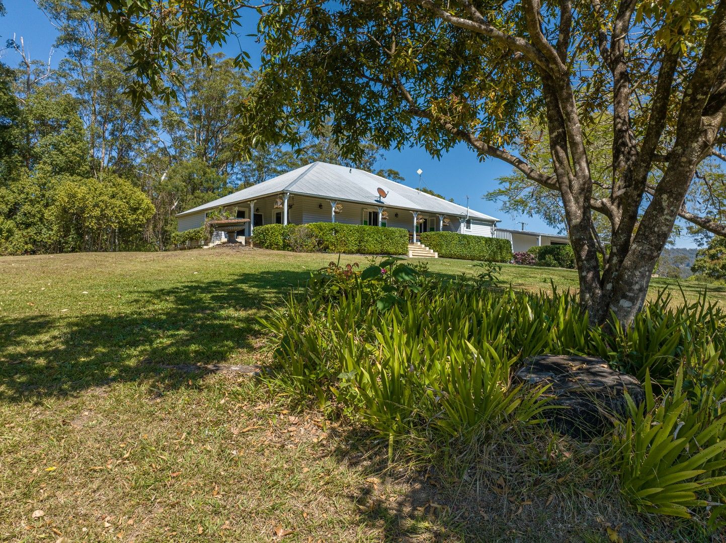 94 Hutchinson Road, Nimbin NSW 2480 House for Sale Domain
