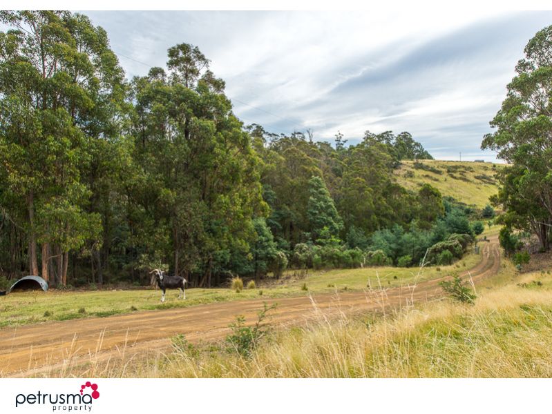 254 Mount Charles Road, Lachlan TAS 7140, Image 2