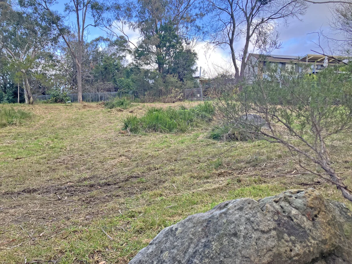 Image 8