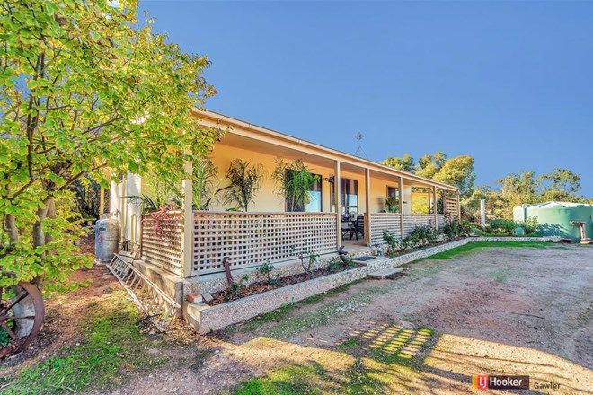 Picture of 382 Enduro Road, SUNLANDS SA 5322