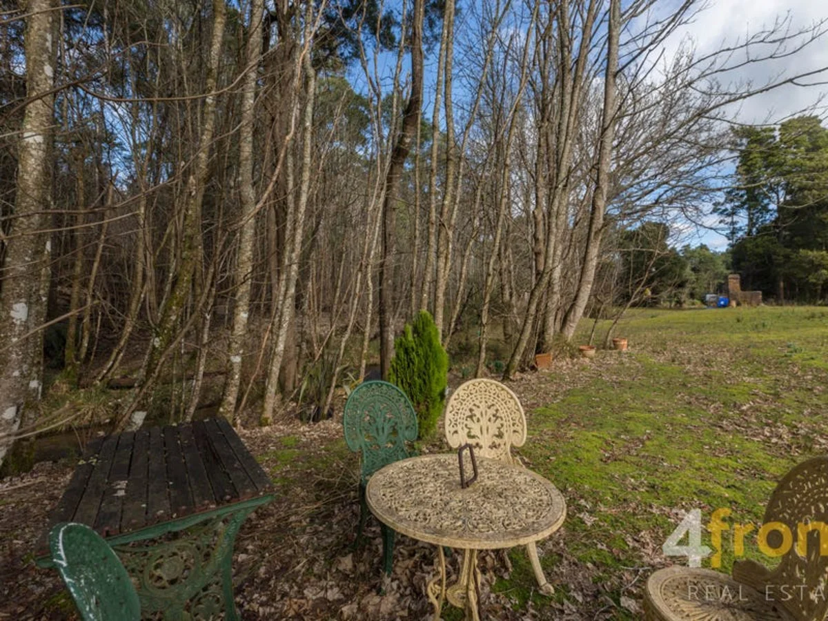 Image 21