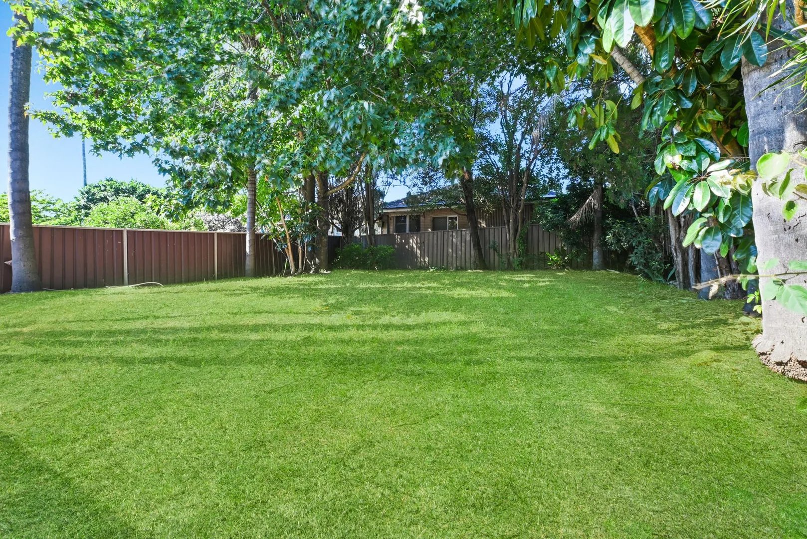 Additional image 21 of 105 Caledonian Street, Bexley NSW 2207