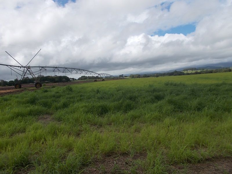 4749 Gillies Range Road, East Barron QLD 4883 House for Sale