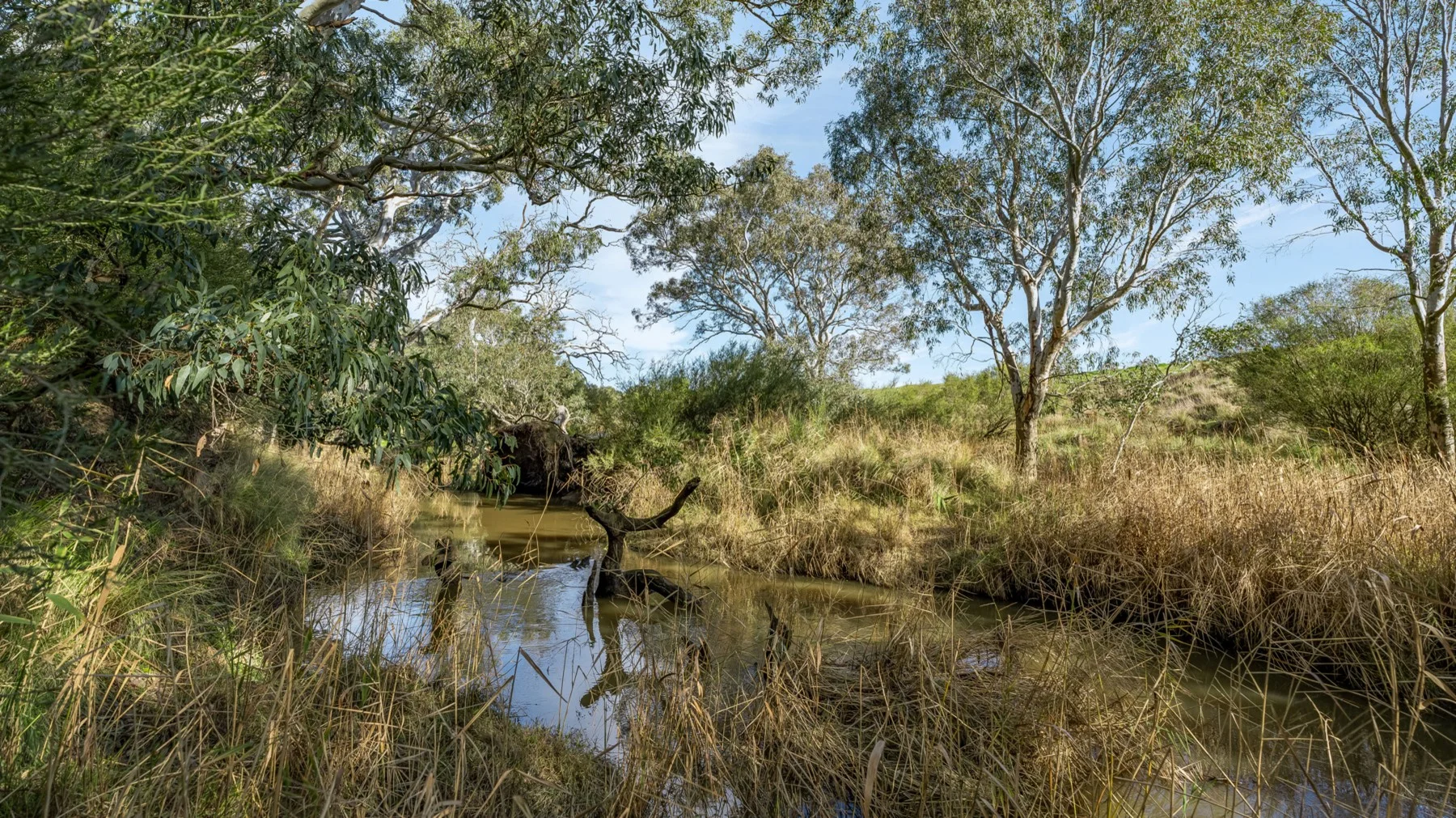 Additional image 12 of 1159 Inverleigh-Winchelsea Road, Inverleigh VIC 3321