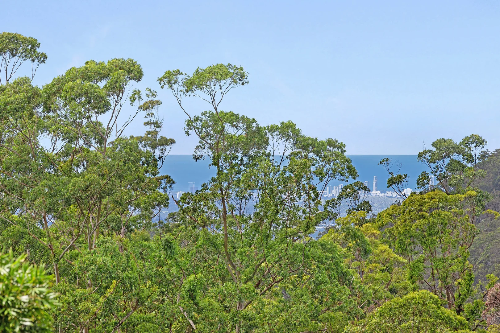 Additional image 16 of 95 Contour Road, Tamborine Mountain QLD 4272
