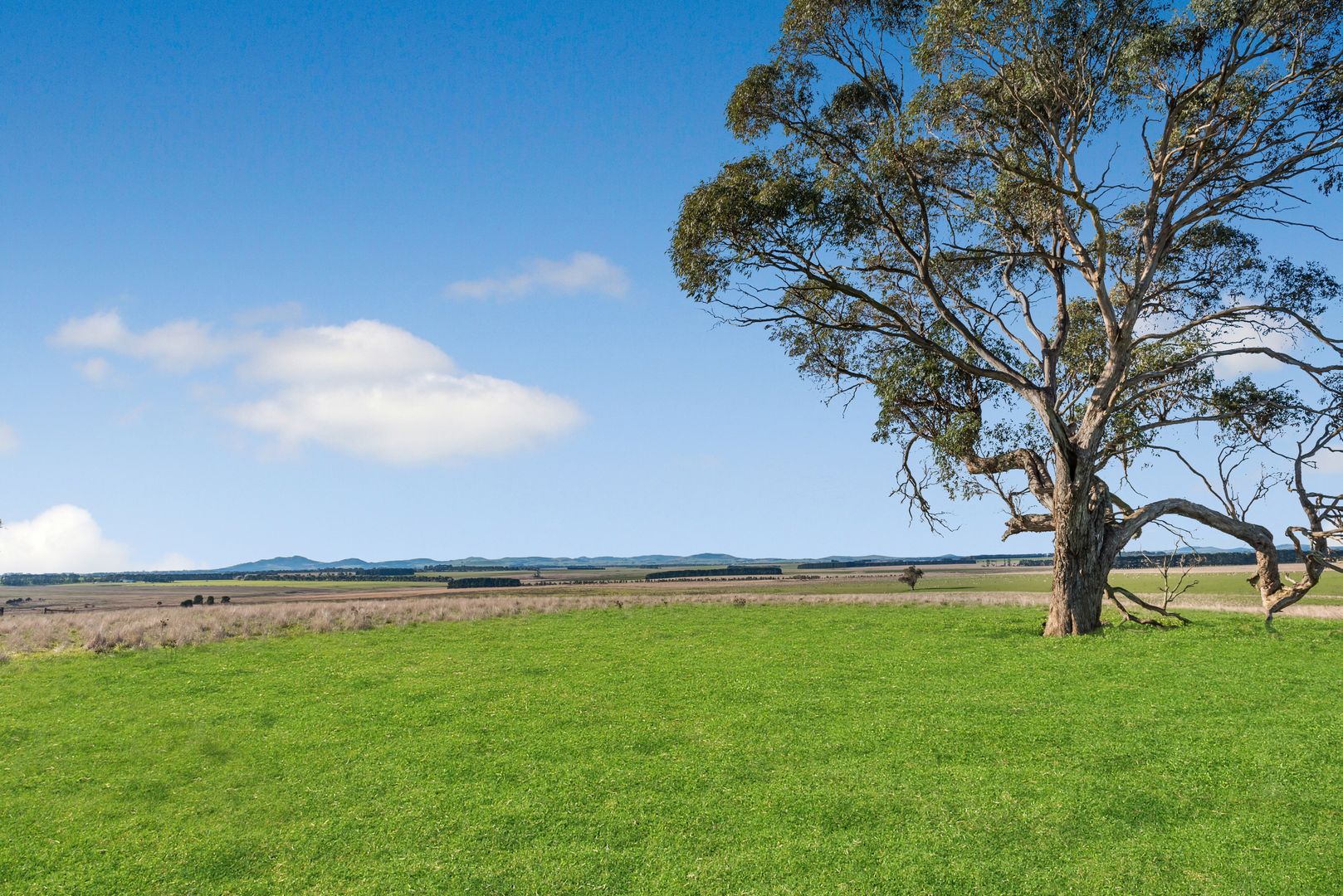 Lots 2 & 3 Ballarat-Carngham Road, Carngham VIC 3351, Image 1