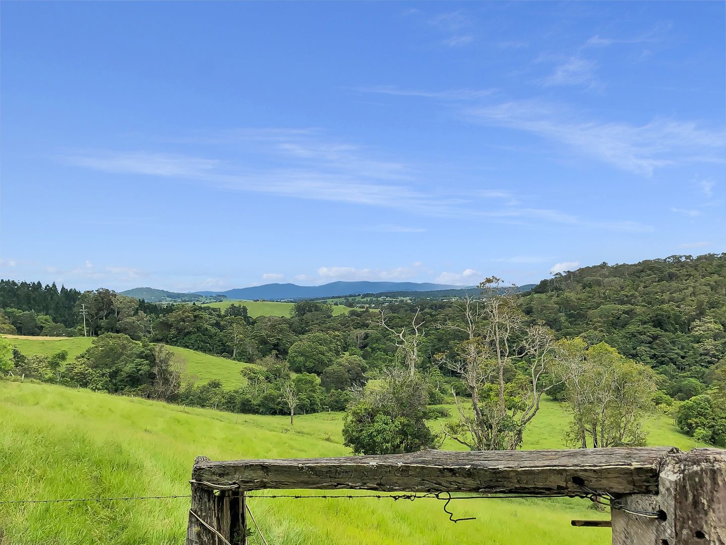 RN24 Shadforth Road, Yungaburra QLD 4884, Image 2