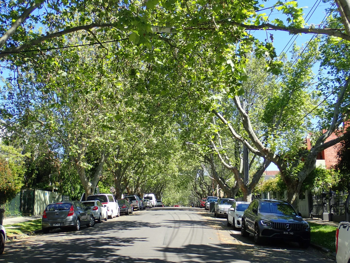 Image 10