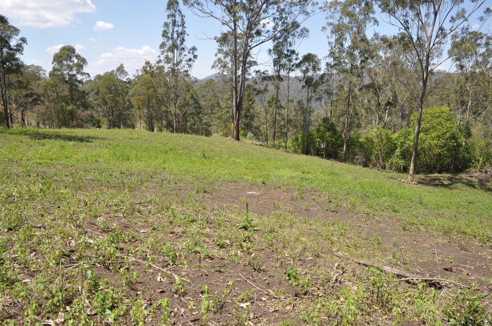 2393 Flagstone Creek Road, Silver Ridge QLD 4352, Image 2