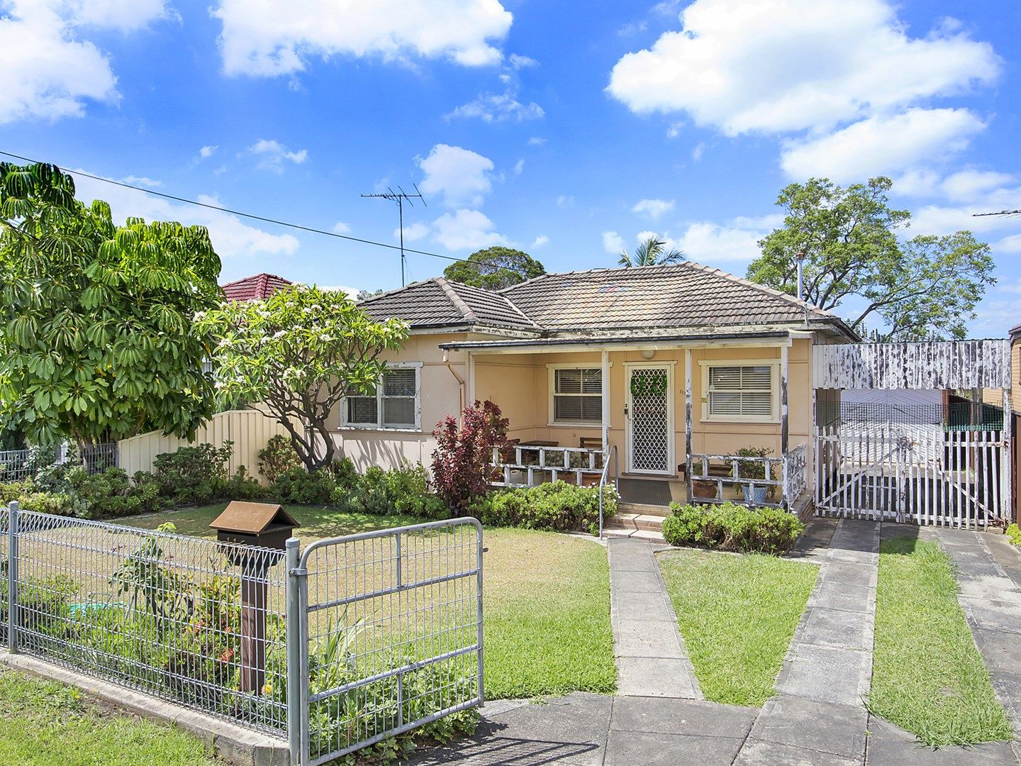 116 Wyong Street, Canley Heights NSW 2166